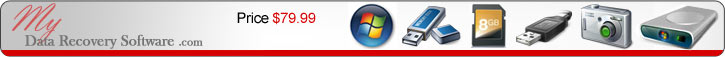 DDR Professional - Windows Data Recovery Software