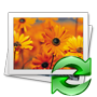 DDR Photo Recovery Software